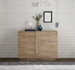 Credenza Marrone Rovere 2 Ripiani 4 Vani 120x44x90h cm, 2 Ante - Introd