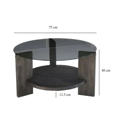 Tavolino da Salotto Nero Antracite Portariviste Forma Rotonda 75x75x40h cm, Materiale Struttura in Vetro - Felino