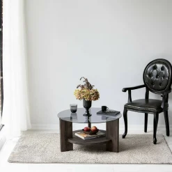 Tavolino da Salotto Nero Antracite Portariviste Forma Rotonda 75x75x40h cm, Materiale Struttura in Vetro - Felino