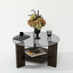 Tavolino da Salotto Nero Antracite Portariviste Forma Rotonda 75x75x40h cm, Materiale Struttura in Vetro - Felino
