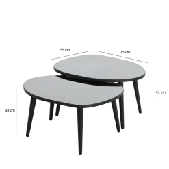 Tavolino da Salotto Nero Piano in Vetro Temperato Forma Ovale 75x55x38h cm, Sfumatura Colore Ripiano Fume - Frontone