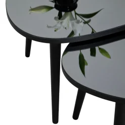 Tavolino da Salotto Nero Piano in Vetro Temperato Forma Ovale 75x55x38h cm, Sfumatura Colore Ripiano Fume - Frontone