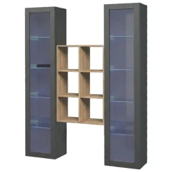 Vetrina Nero Antracite 12 Ripiani Apertura Battente 40x30x180h cm, 2 Ante - Gadoni